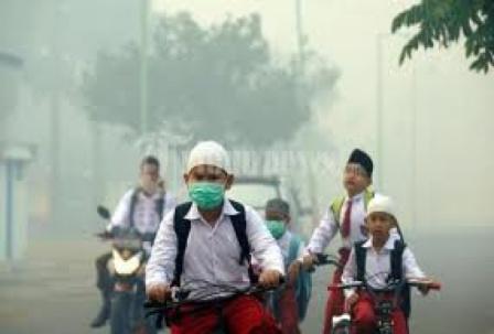 Kabut Asap Tebal, Jarak Pandang di Barito Hanya 30 Meter