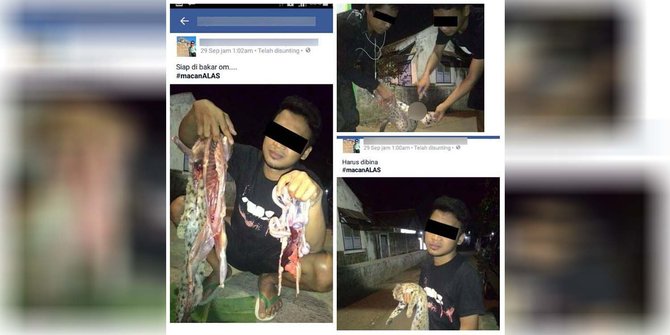 Facebooker Ini Unggah Foto Bantai Kucing Hutan