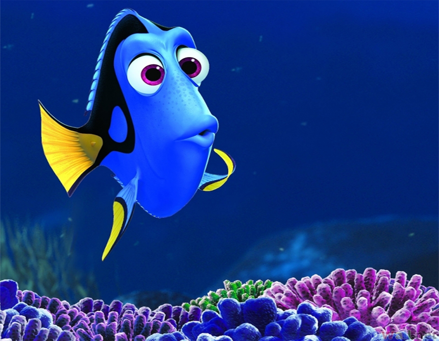 Setelah ‘Finding Nemo’, ‘Finding Dory’ Akan Dirilis Tahun Depan