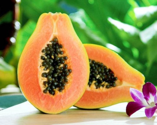 Wah Ternyata Makan Pepaya Dapat Mengurangi Rasa Sakit Saat Haid