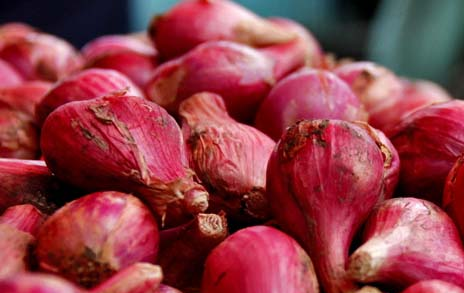 Ternyata Bawang Merah Bisa Hilangkan Bau Tak Sedap