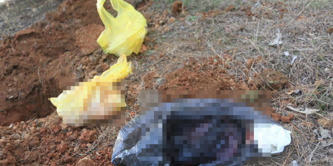 Pemulung Temukan Mayat Janin Di Pinggir Pantai Penarukan