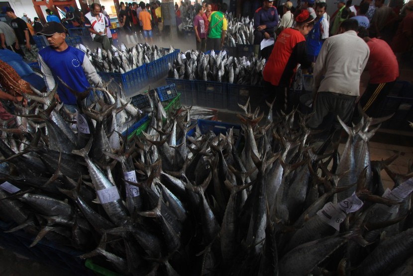 Menteri Susi: Kapal Penangkap Ikan Harus Bongkar Muat Di TPI Resmi