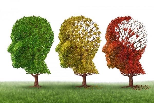 Perawat Penderita Alzheimer Perlu Mendapat Pelatihan Berkala
