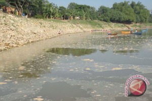Limbah Cemari Pantai Utara Batam