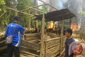 Pemkot Tertibkan Seluruh Peternakan Batam