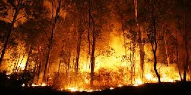 9 Hotspot Ditemukan di Riau