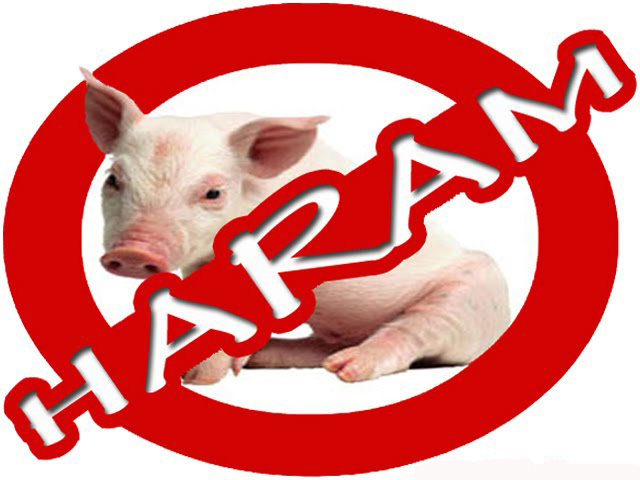 Babi Haram dalam Penjelasan Alquran