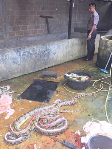 Ternyata Jual Organ Hewan Olahan ke Sumut , Tempat Penampungan Ratusan Satwa Liar yang Digerebek Polisi di Kerinci Kanan