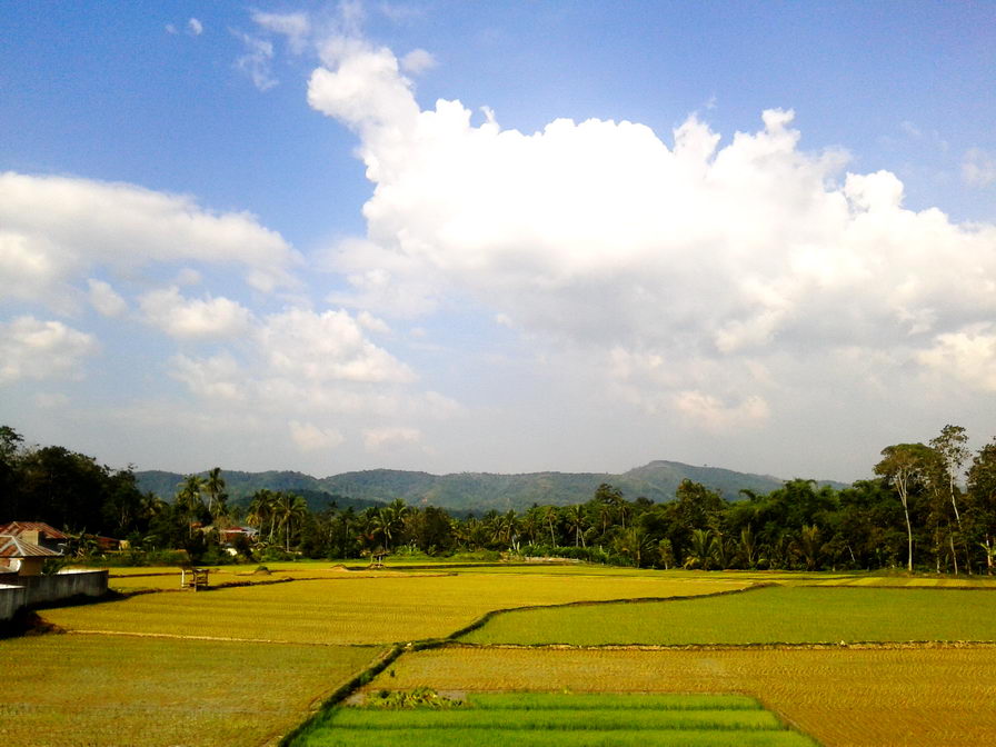 KPK dampingi Solok Selatan susun APBD