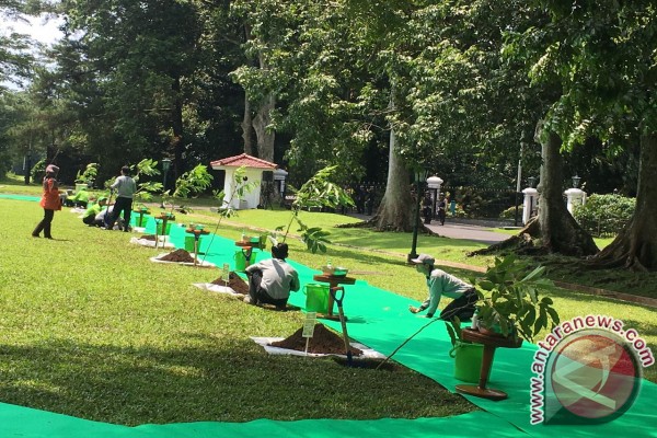 Istana Bogor sediakan Al-Saud Garden