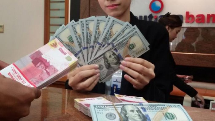 Pemprov Transfer Gaji GTT Kepri Tiga Bulan Sekaligus, Cek Rekening Sekarang