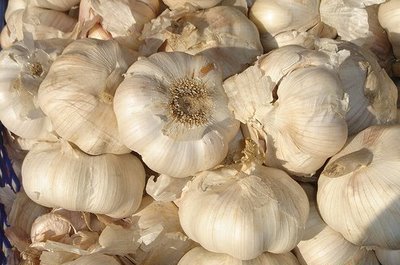 Harga Bawang Putih di Karimun Semakin Tinggi