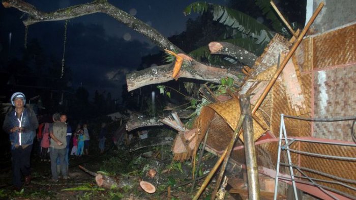 Pohon Mahoni Tumbang, Tiga Rumah Rusak, Satu Remaja Tewas