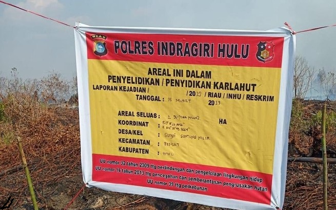 Lahan Tidur Milik Perusahaan Sawit di Riau Terbakar