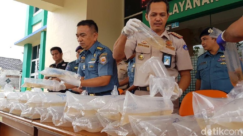 TNI AL Gagalkan Penyeludupan Bibit Lobster Senilai Rp11 Miliar