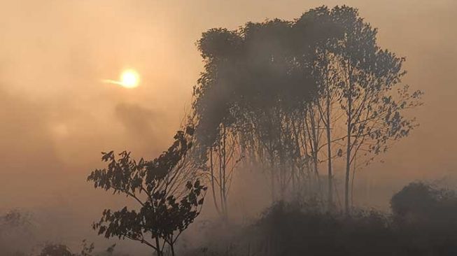 BMKG Deteksi 183 Titik Panas di Sumatera, Wilayah Riau Paling Banyak