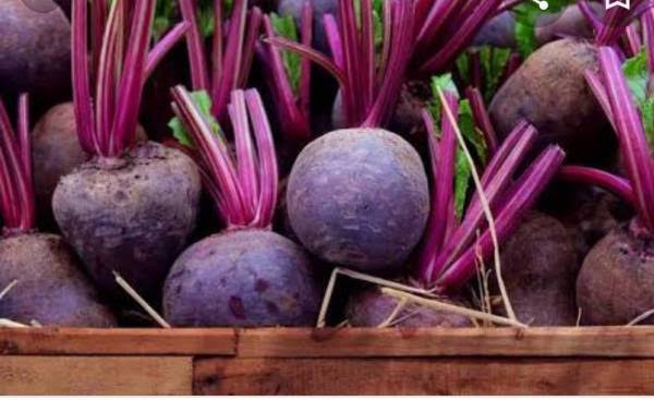 Punya Banyak Nutrisi, Inilah Manfaat dari Buah Bit