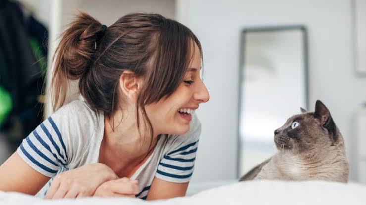 Animal Communicator, Jasa Komunikasi Hewan yang Sedang Diminati