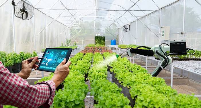 Digital Farming Berkontribusi Terhadap Produktivitas Pertanian di Daerah Tropis, Bagaimana Caranya?