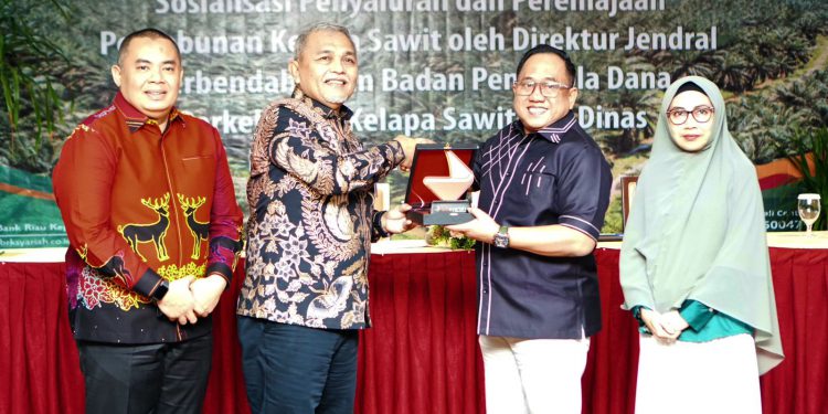 Sudah Rp 23,6 Miliar Tersalurkan, BRK Syariah Buka Peluang Besar untuk Petani Mendapatkan Dana Peremajaan Sawit