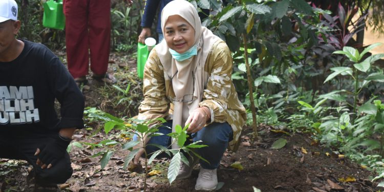 Peringati Hari Lingkungan Hidup Sedunia 2024, Klaster Filantropi Lingkungan Hidup dan Konservasi Tanam Pohon Serentak di 18 Provinsi di Indonesia