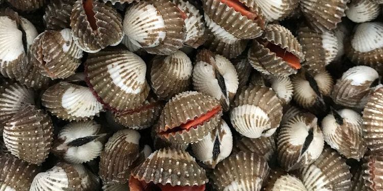 Makanan Seenak Kerang Disebut-Sebut Penyebab Kolesterol? Ini Penjelasannya
