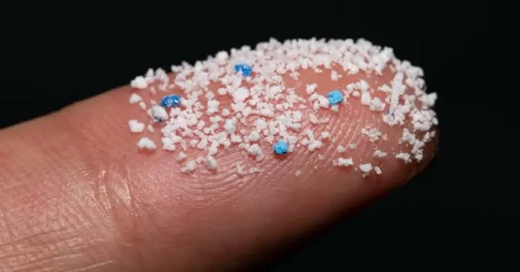 Mikroplastik Bisa Masuk ke Otak Manusia, Studi Terbaru Ini ungkap Beberapa Faktanya
