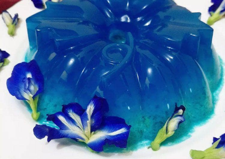 Resep Olahan Bunga Telang Jadi Agar Agar Menyehatkan