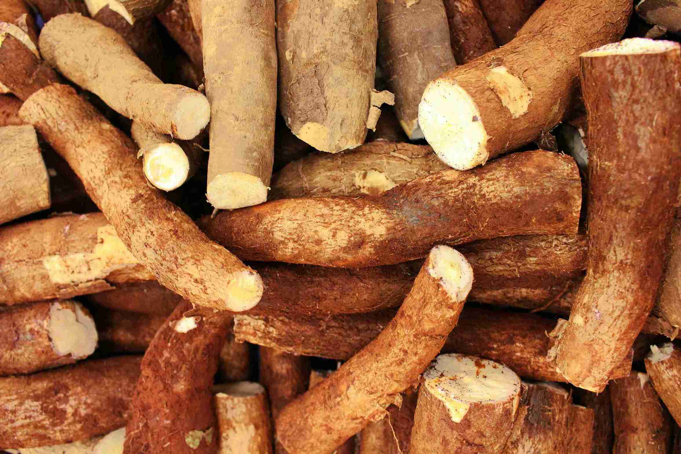Tape Singkong dan Tape Ketan: Manfaat Kesehatan dari Fermentasi Tradisional
