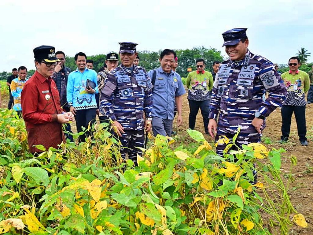 Menanam Asa di Tanah Lampung: Langkah Nyata Kasal Muhammad Ali untuk Wujudkan Kemandirian Pangan