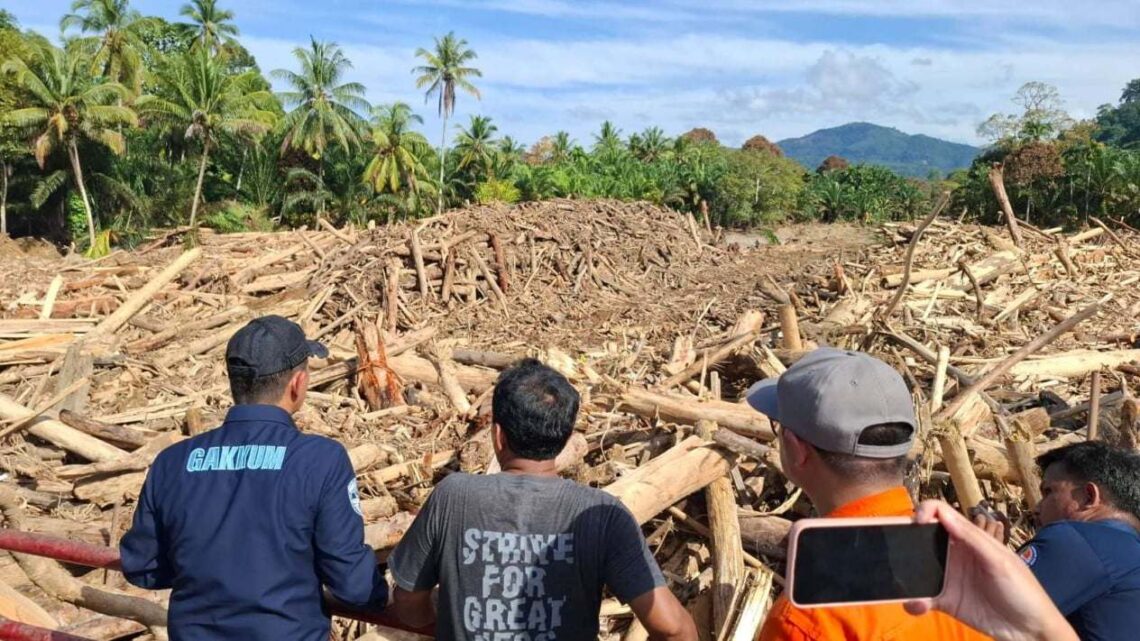 KLH Pastikan Kayu Gelondongan Banjir Sumut Hasil Penebangan, Operasional 4 Perusahaan Dihentikan Sementara