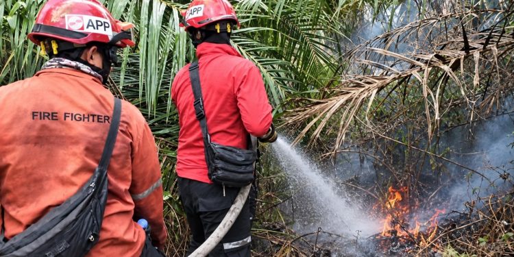 Cegah Karhutla Meluas, PT Arara Abadi Gerak Cepat Padamkan Api di Lahan Masyarakat