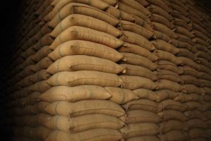 Stok Melimpah, Kenapa Harga Beras Masih Tinggi?