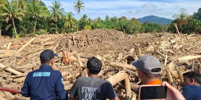 KLH Pastikan Kayu Gelondongan Banjir Sumut Hasil Penebangan, Operasional 4 Perusahaan Dihentikan Sementara