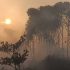 BMKG Deteksi 183 Titik Panas di Sumatera, Wilayah Riau Paling Banyak