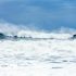 Tsunami Jepang Dilaporkan Memiliki Daya Rusak yang Tak Bisa Diremehkan