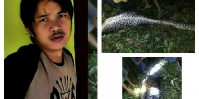 Ayah Akbar Langsung Lemas Saat Mendengar Anaknya Tewas Ditelan Ular