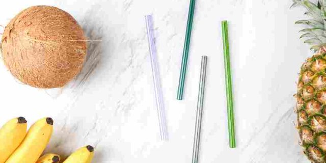Plant-Based Lifestyle: Gaya Hidup Sehat dan Ramah Lingkungan yang Kian Populer