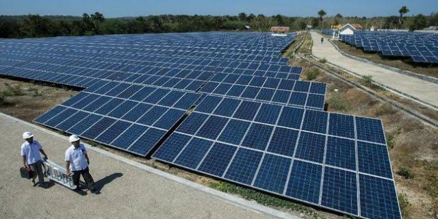 Green Jobs: Pekerjaan Ramah Lingkungan yang Jadi Tren Masa Depan
