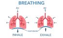 Teknik Pernapasan Sehat, Kunci Hidup Lebih Bahagia dan Panjang Umur