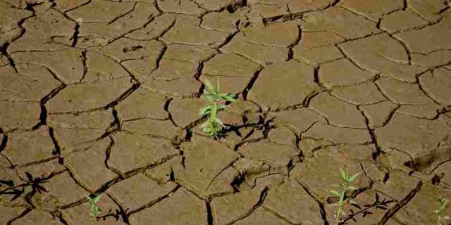 BMKG Peringatkan Kemarau 2026 Datang Lebih Cepat, Ini Dampak yang Perlu Diwaspadai Masyarakat