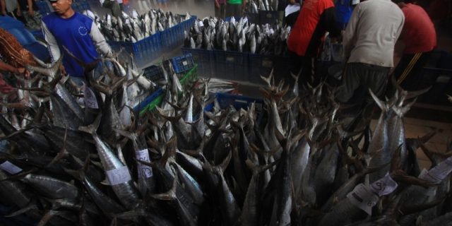 Menteri Susi: Kapal Penangkap Ikan Harus Bongkar Muat Di TPI Resmi