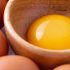 Mulai Sekarang, Tak Ada Alasan Kamu Tak Suka Kuning Telur, Kandungan Nutrisinya Luar Biasa