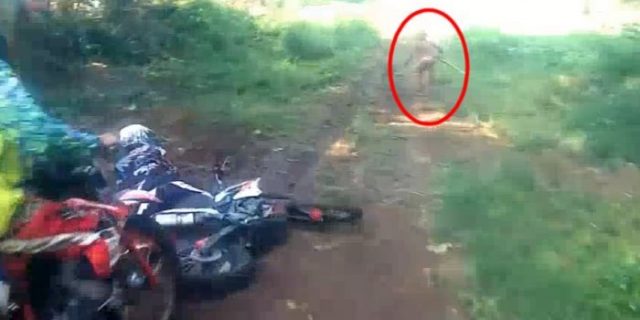 Sosok Misterius di Hutan Aceh yang Bikin Heboh Dunia Maya