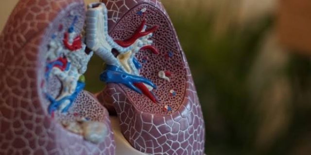 Teknik Pernapasan Sehat, Kunci Hidup Lebih Bahagia dan Panjang Umur