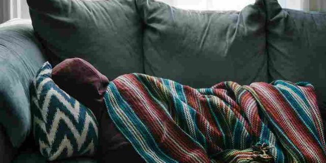 10 Daun Penurun Demam yang Mudah Ditemukan dan Aman Digunakan