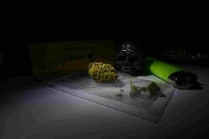 Operasi Senyap BNN di Aceh Berbuah 100 Kg Sabu dan Satu Tersangka